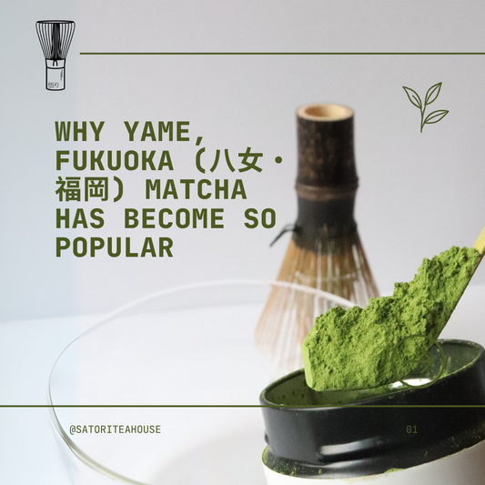 Why Yame, Fukuoka (八女・福岡) Matcha Has Become So Popular