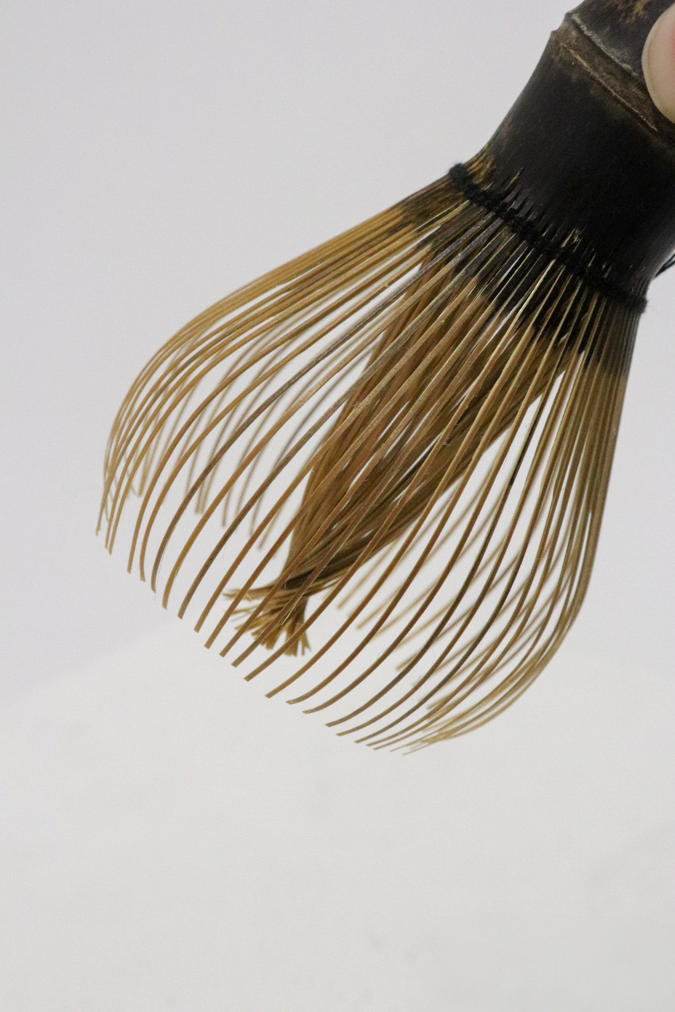 Shin Chasen (Matcha Whisk)